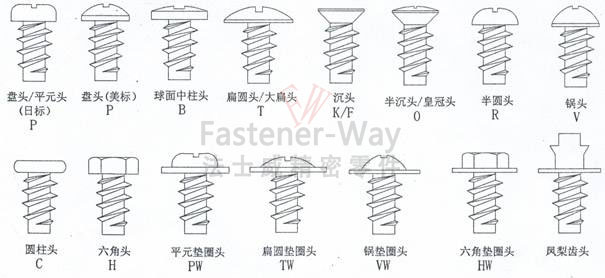 不同頭型螺絲-簡(jiǎn)圖-水印 不同頭型螺絲-簡(jiǎn)圖-水印